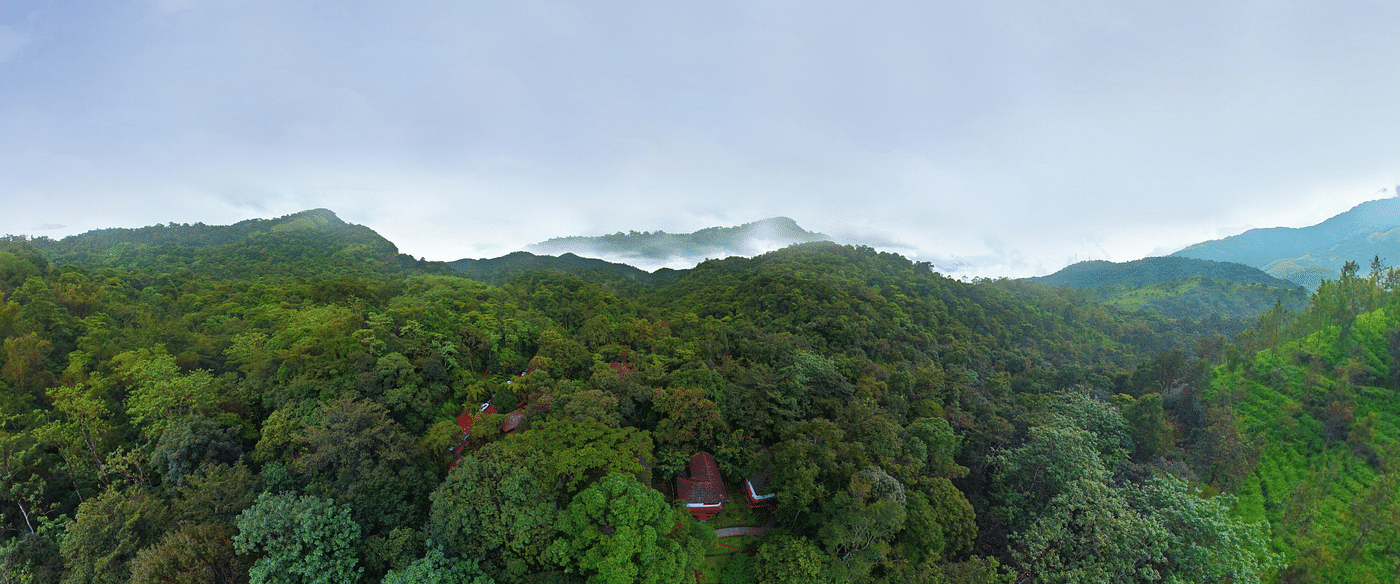 An aerial view of greenery with a backdrop of clear sky | Vythiri Resort, Wayanad
